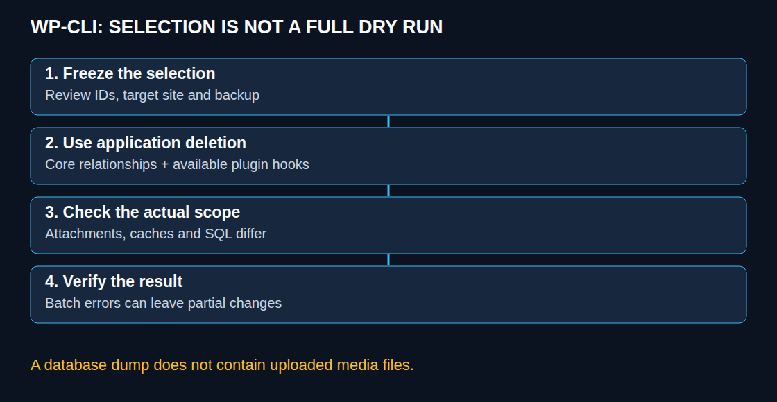 WP-CLI: SELECTION IS NOT A FULL DRY RUN