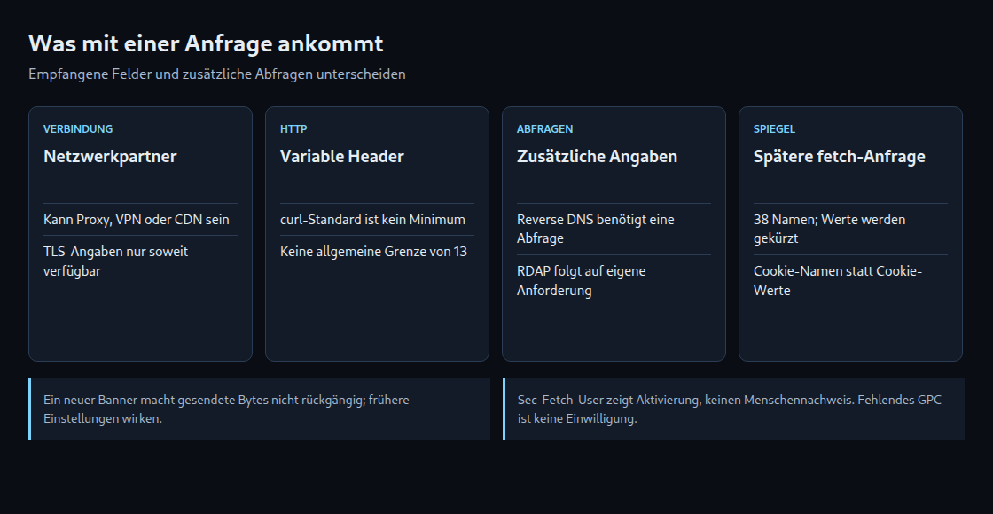Empfangene Daten und zusätzliche Abfragen sind getrennt. Das Werkzeug misst eine spätere API-Anfrage.