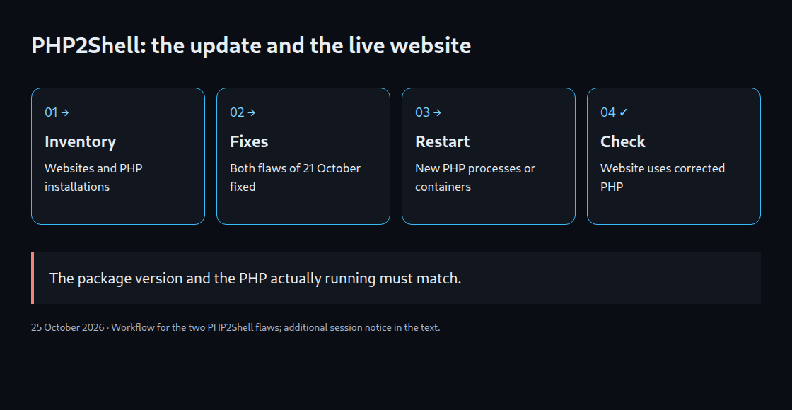 Four verification steps: inventory, patch both flaws, replace running processes and verify web operation