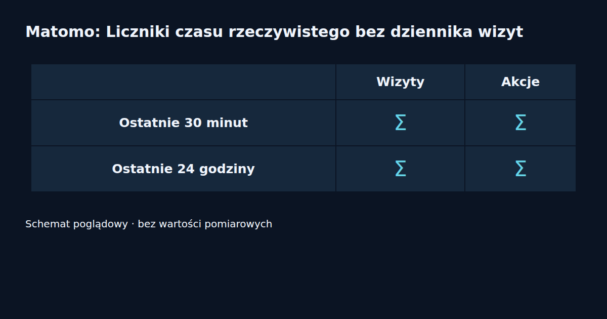 Wizyty · Akcje · Ostatnie 30 minut · Ostatnie 24 godziny