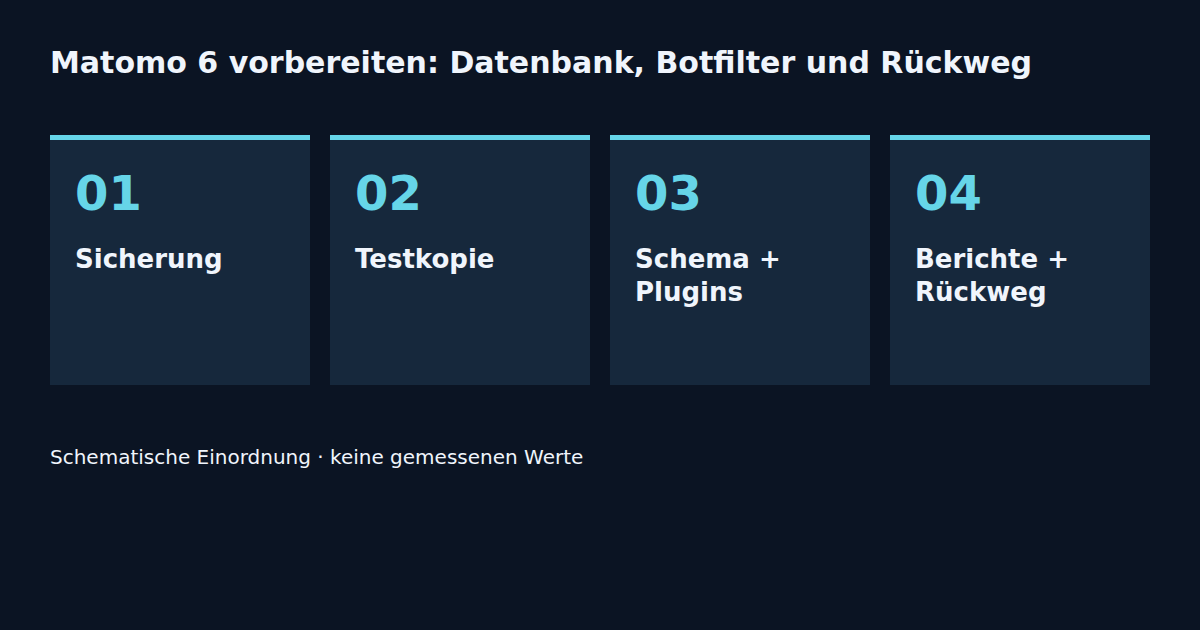 Sicherung · Testkopie · Schema + Plugins · Berichte + Rückweg